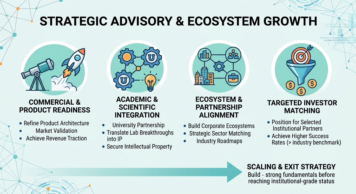 Strategic Advisory Beyond Traditional Venture Capital for Scale-Ups and Research Spin-Outs Estonia